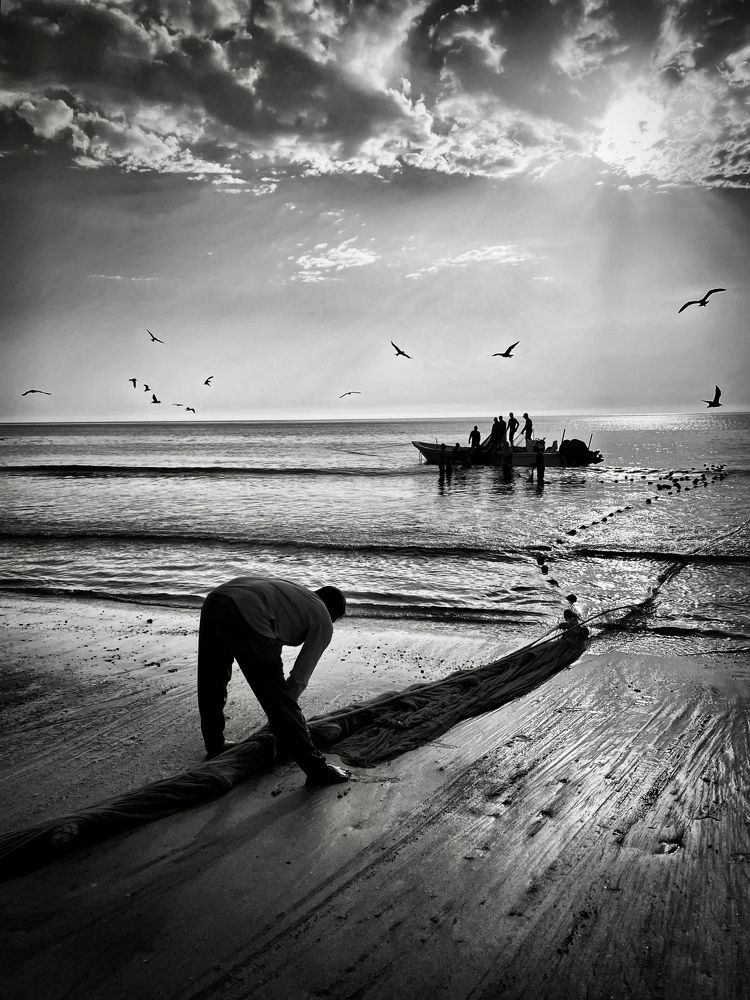 Photograph by Светлана Рашидова