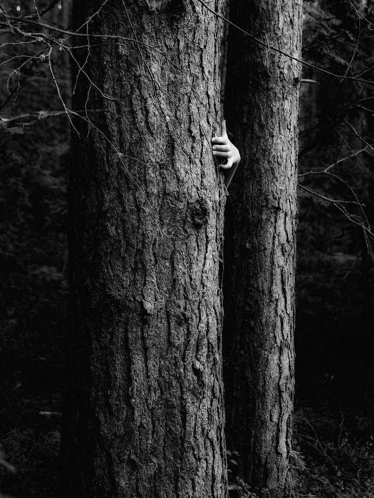 Photograph by Сергей Калинин