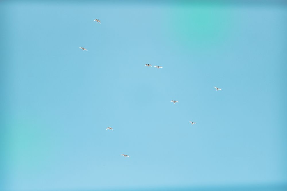 Photograph by Екатерина Михайлова