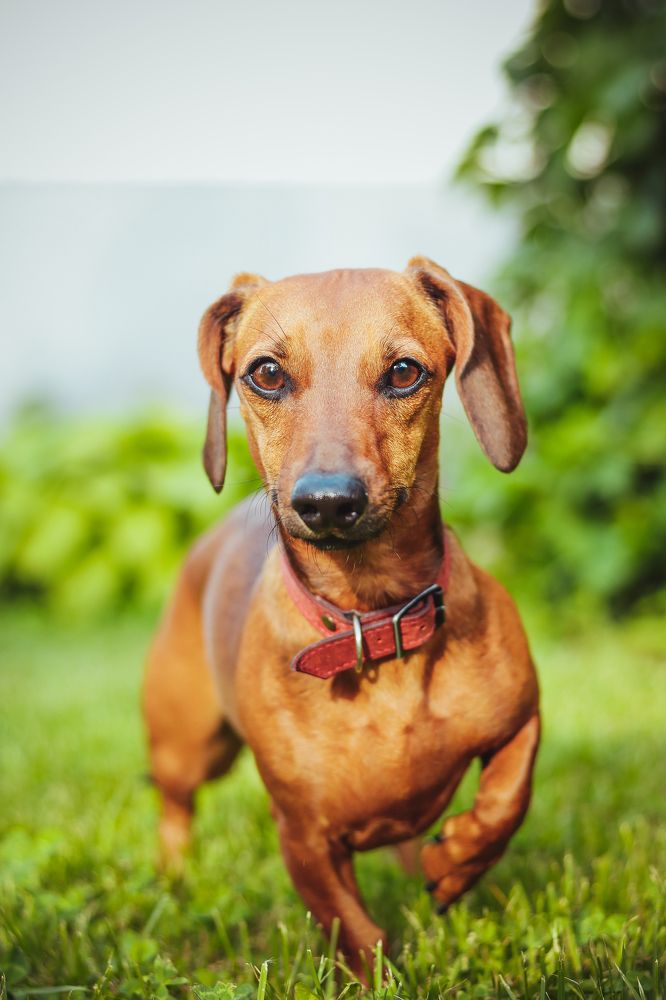 Photograph by Екатерина Михайлова