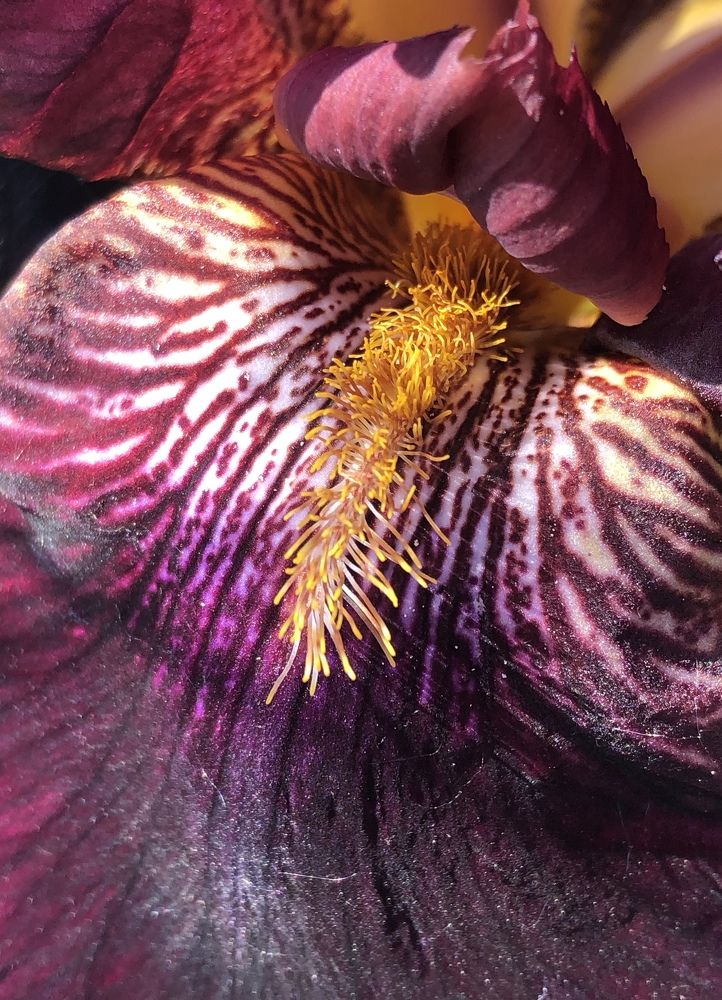 Photograph by Оксана