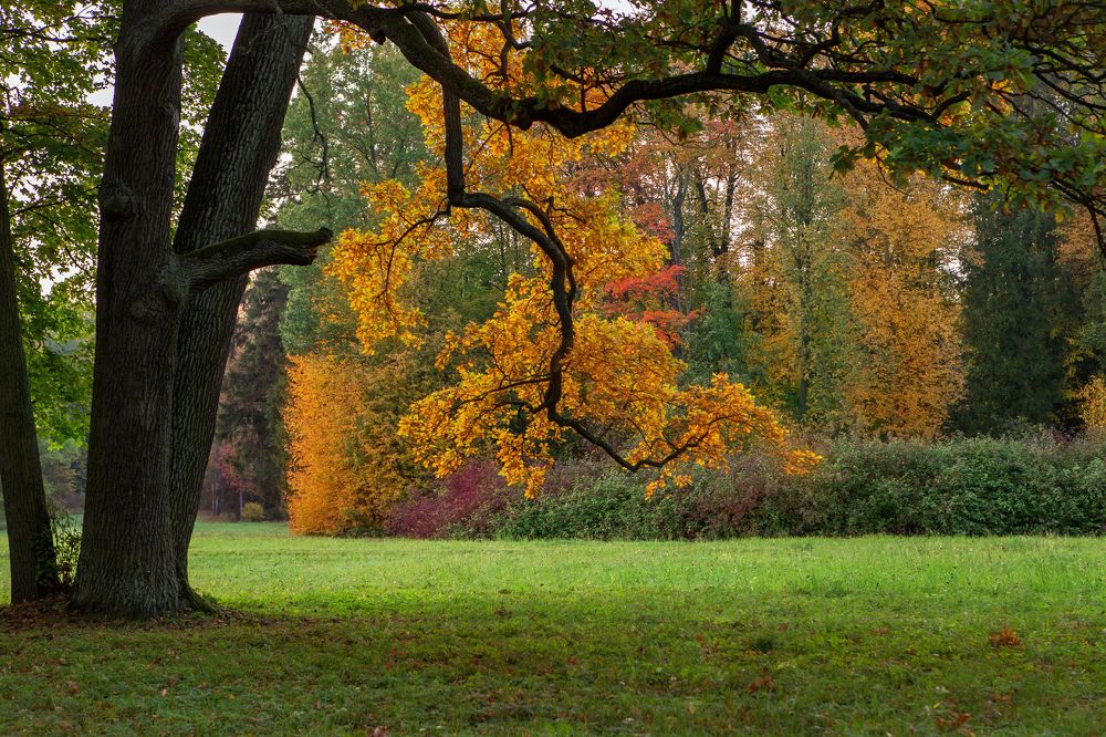 Photograph by Alexey Belov