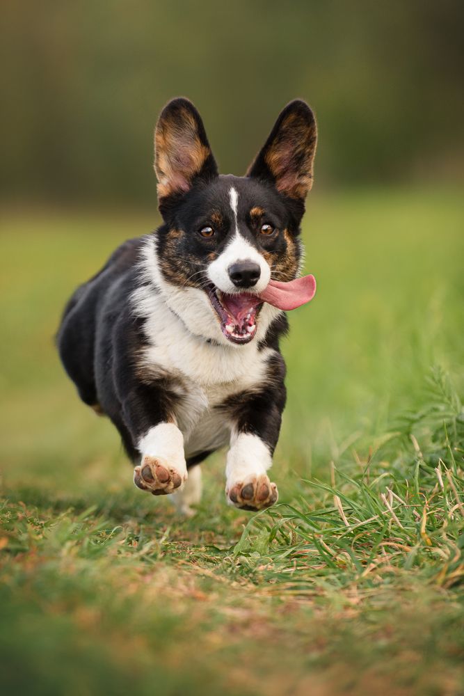 Photograph by Мария