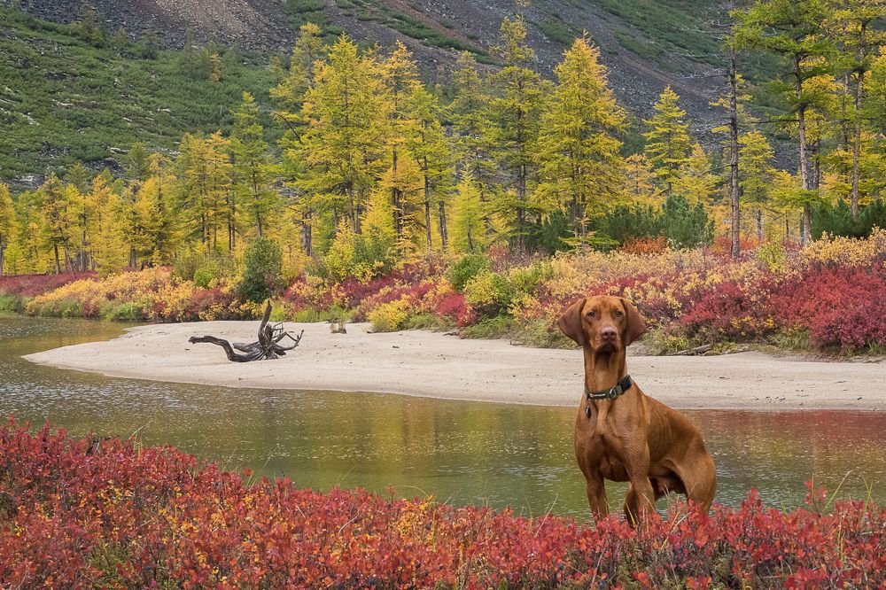 Photograph by Марина Маликова