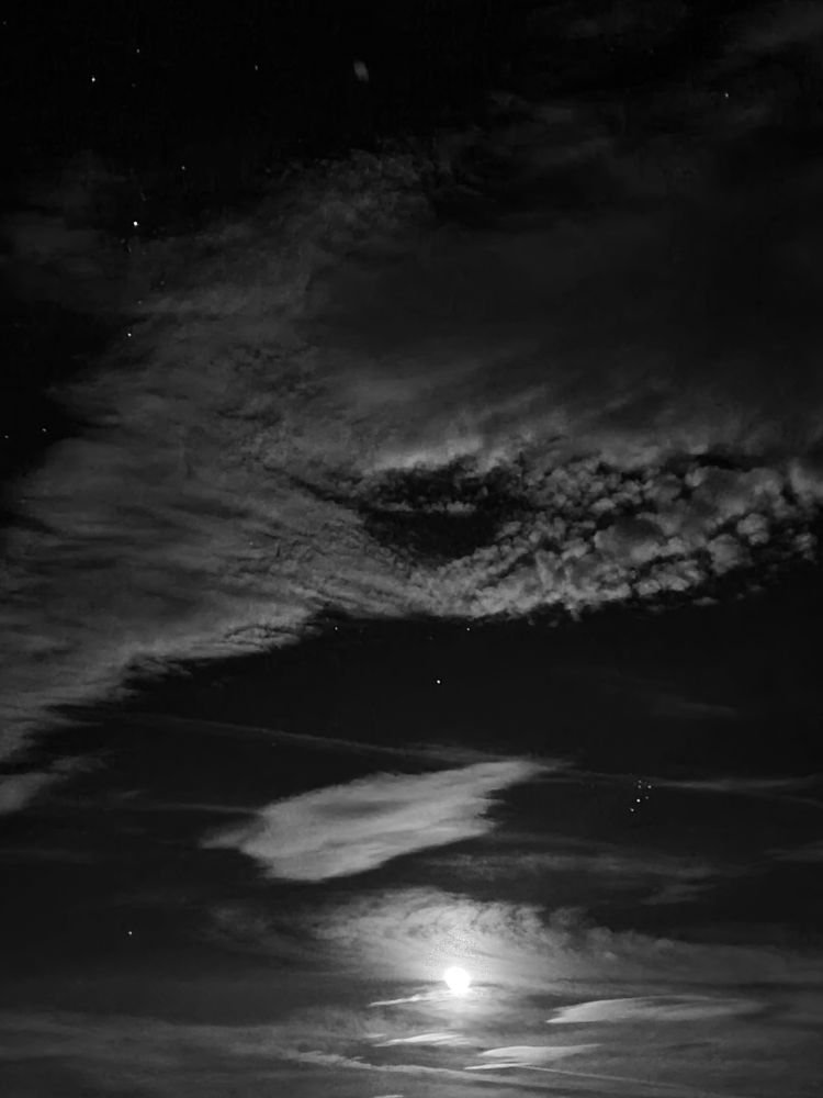 Фотография автора Belmin Becirspahic