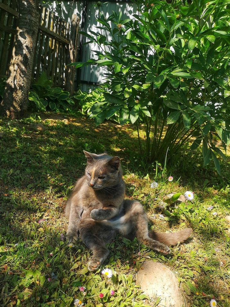 Photograph by Екатерина Борисовна Кузьмина