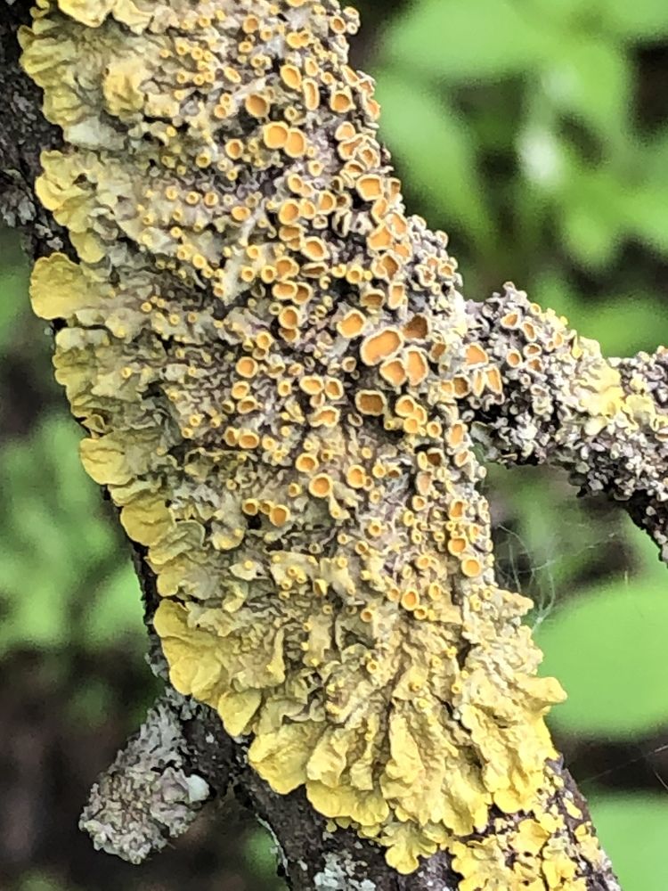 Photograph by Оксана