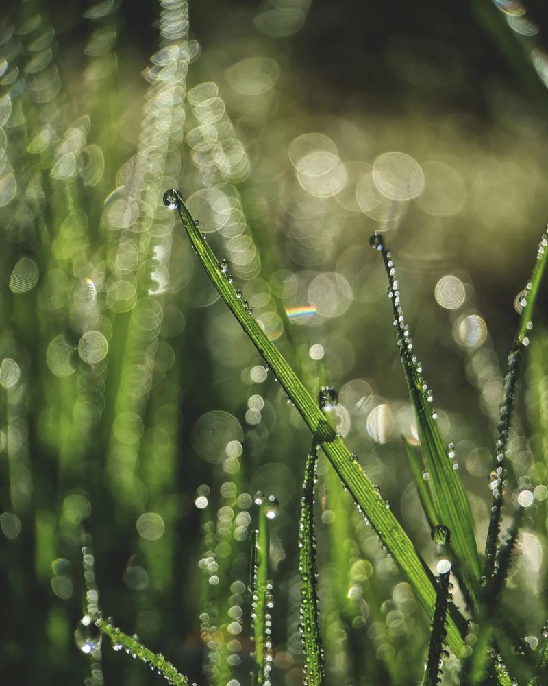 Photograph by Светлана Смирнова