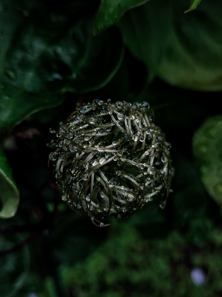 Фотография автора Мария Филиппова