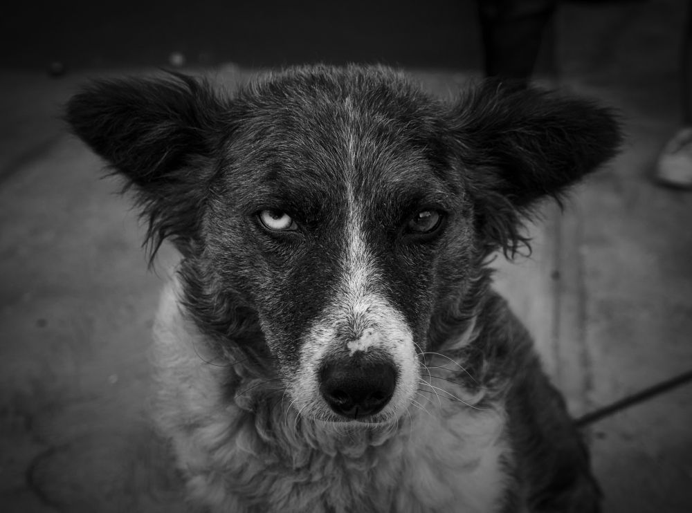 Photograph by Fernando izaguirre