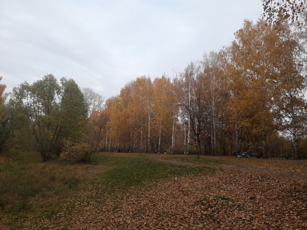 Фотография автора Амандык Кызаев