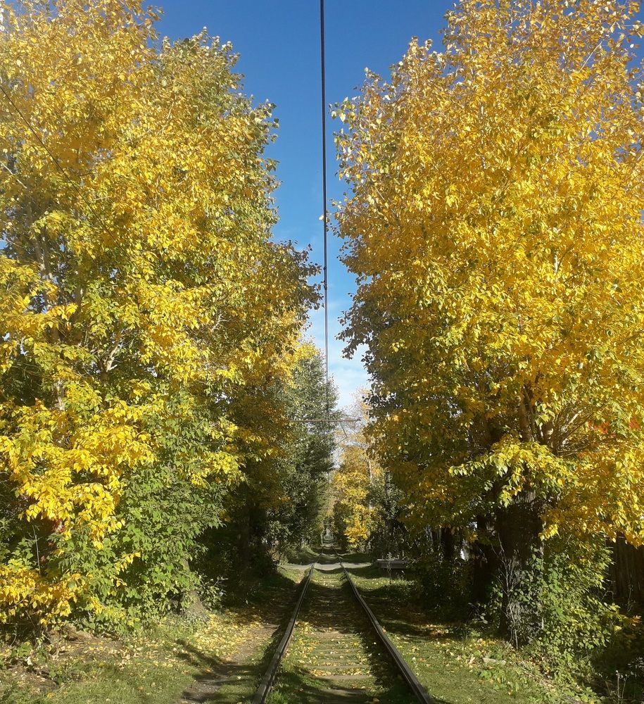Фотография автора Амандык Кызаев