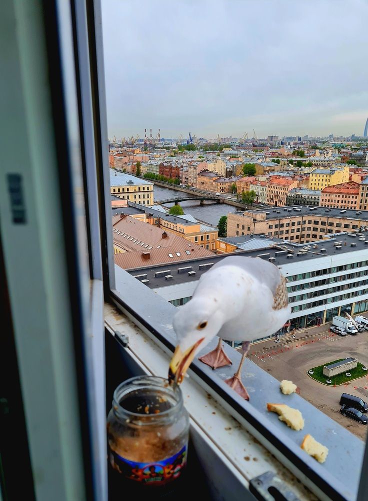 Photograph by Ирина Синягина