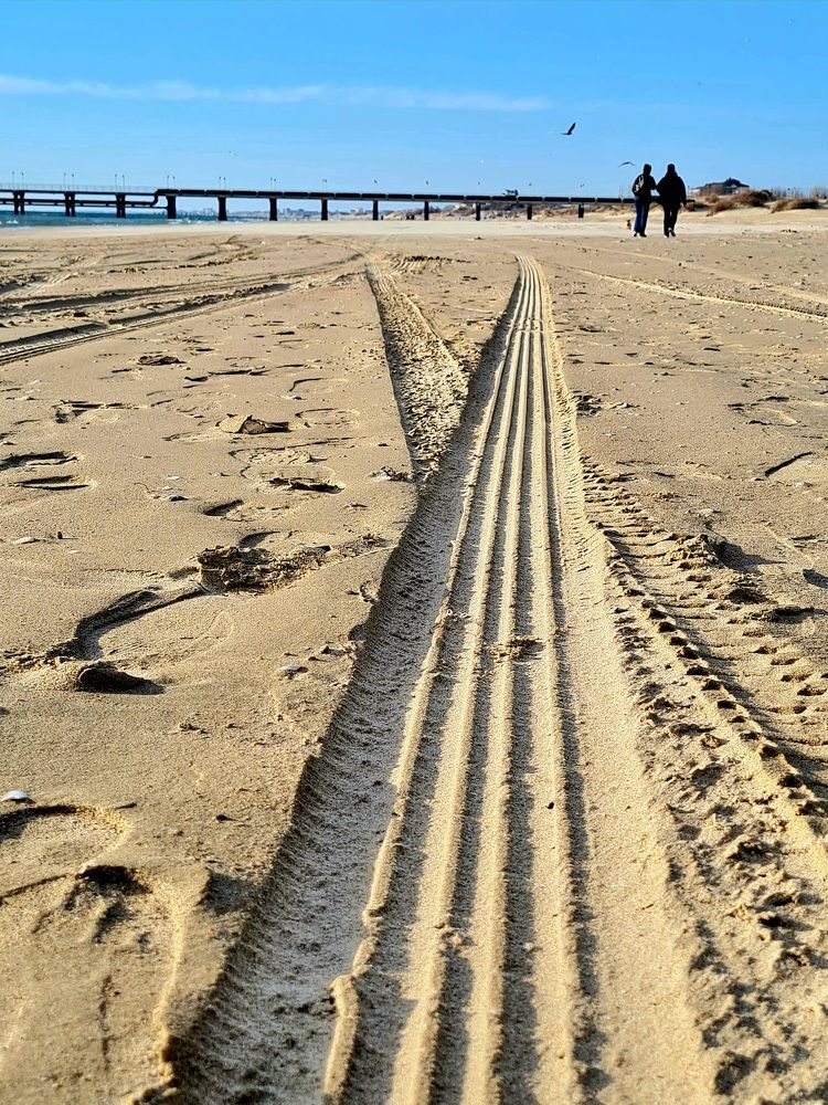 Photograph by Ирина Синягина