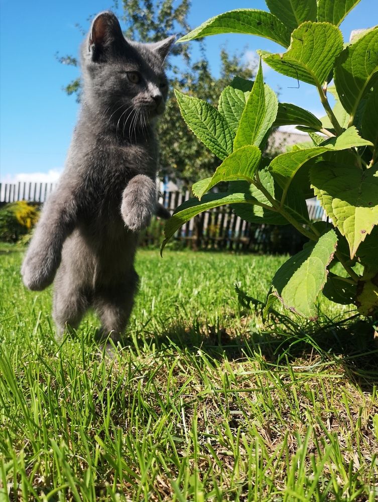 Photograph by Екатерина Борисовна Кузьмина