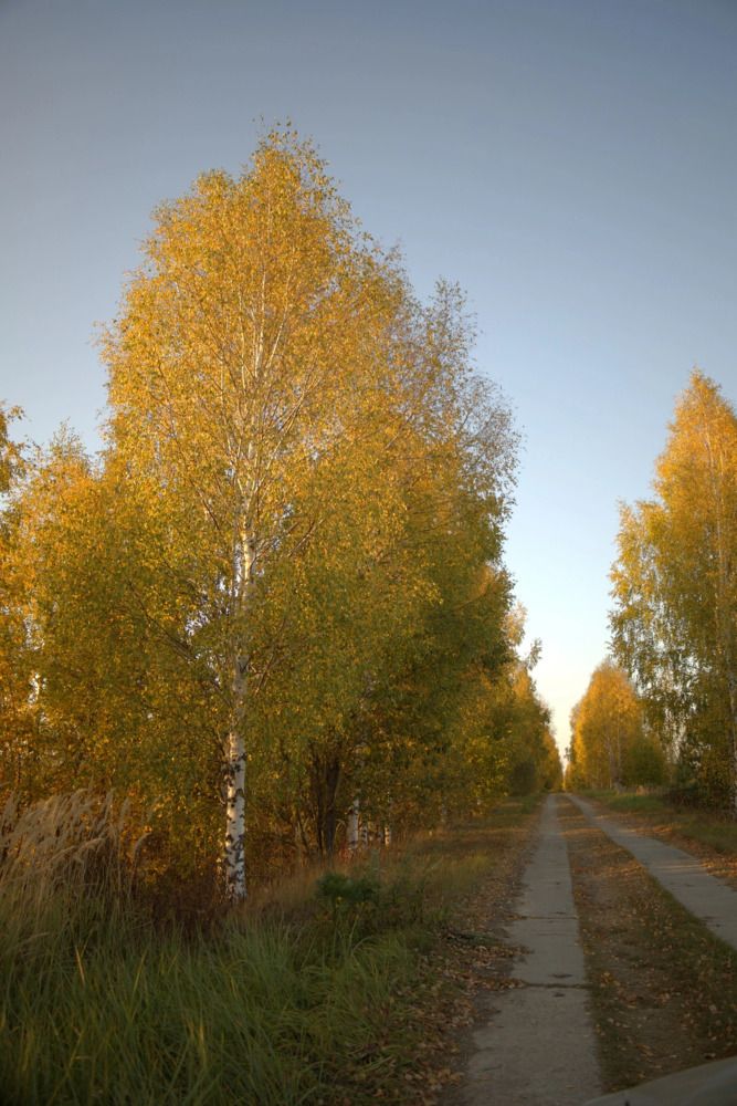 Photograph by Оксана Кочкова