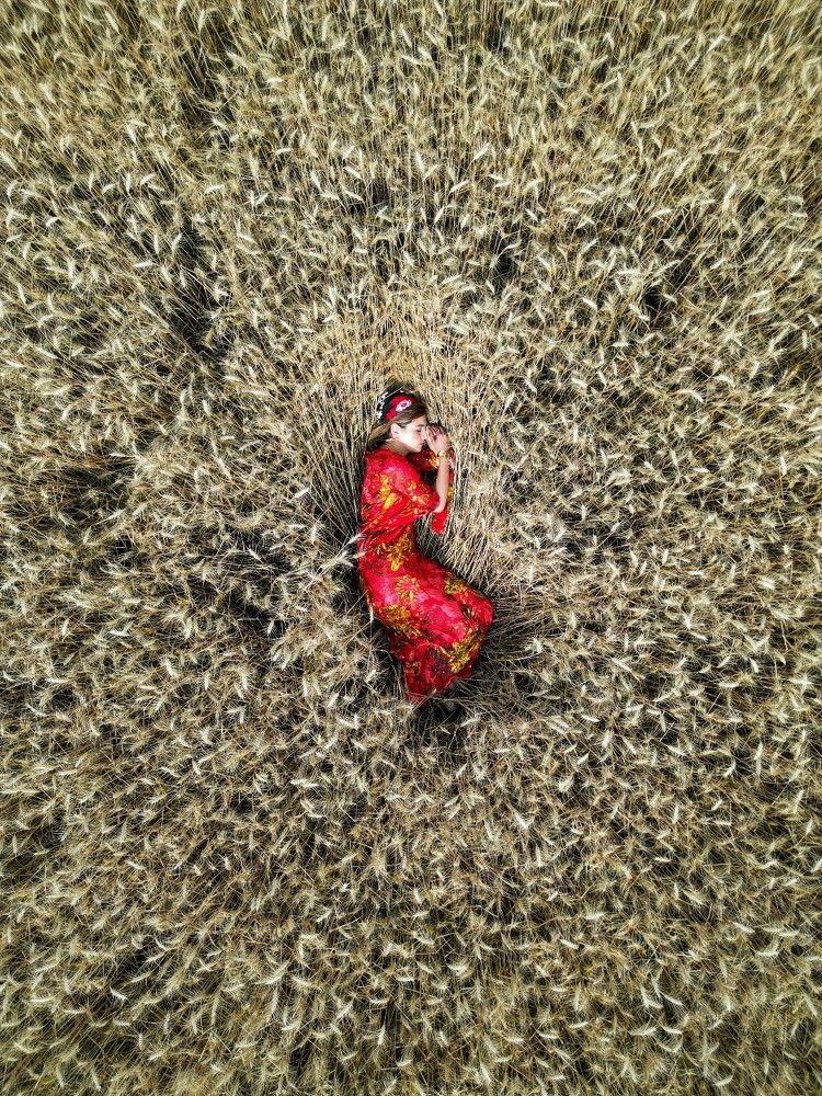 Фотография автора mohammad hossein moheimani