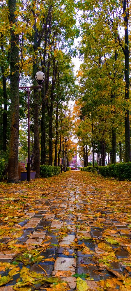 Photograph by roman pushkin