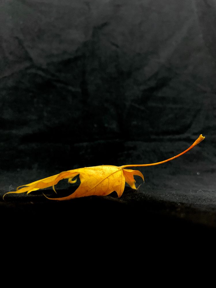 Photograph by Елена Макуха