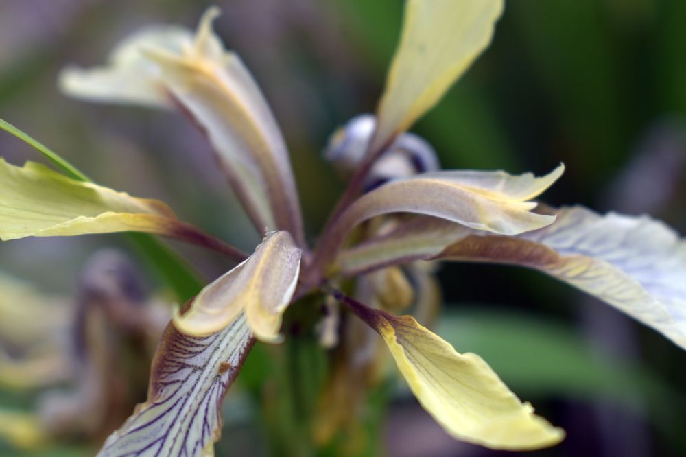 Photograph by Mourad Yahiaoui