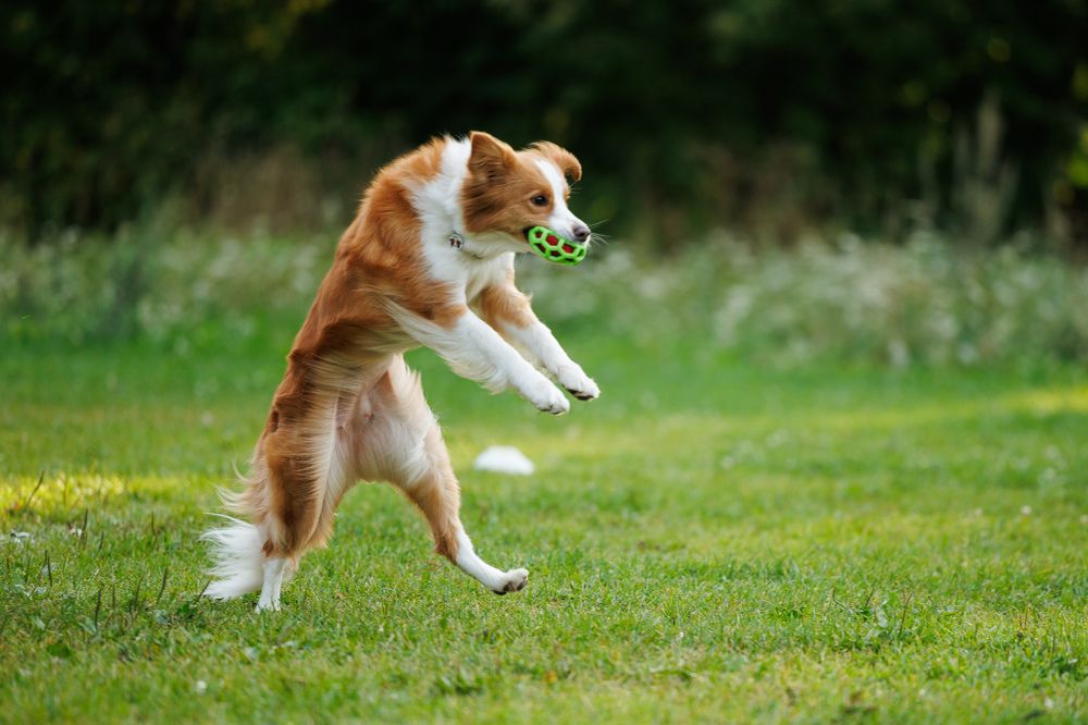 Photograph by Илья Юфа