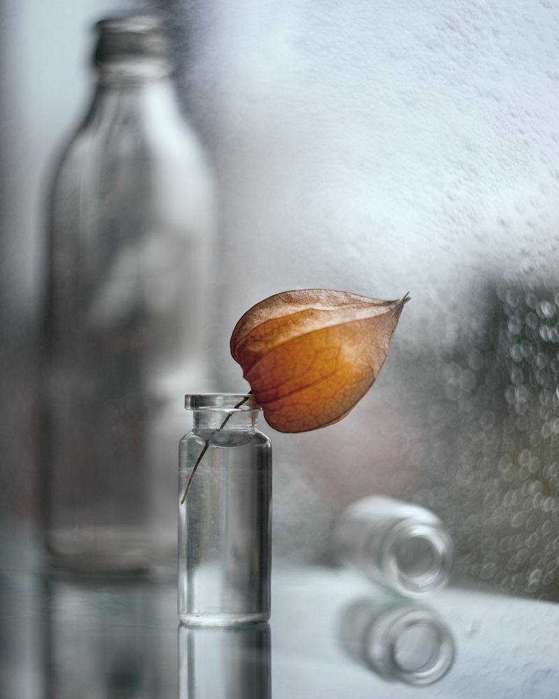 Photograph by Михаил