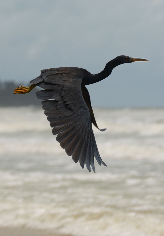 Photograph by Светлана Зимина