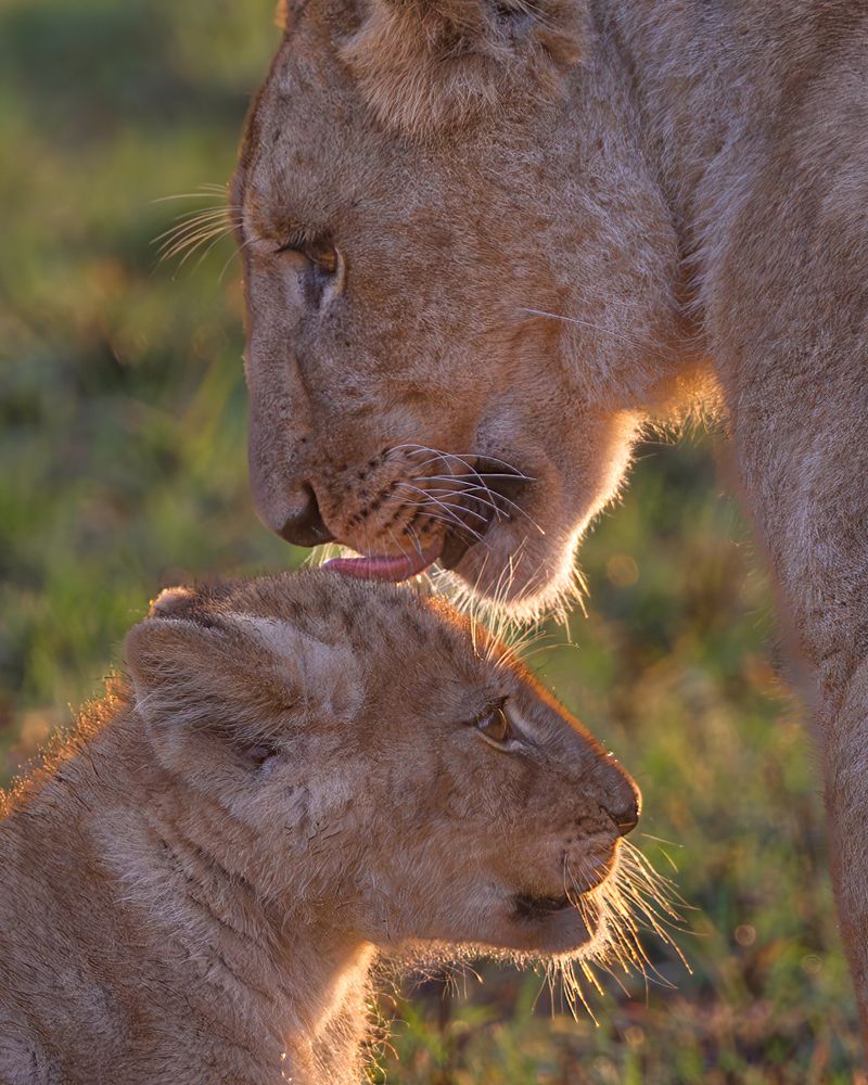 Photograph by Bobby John Lawrence