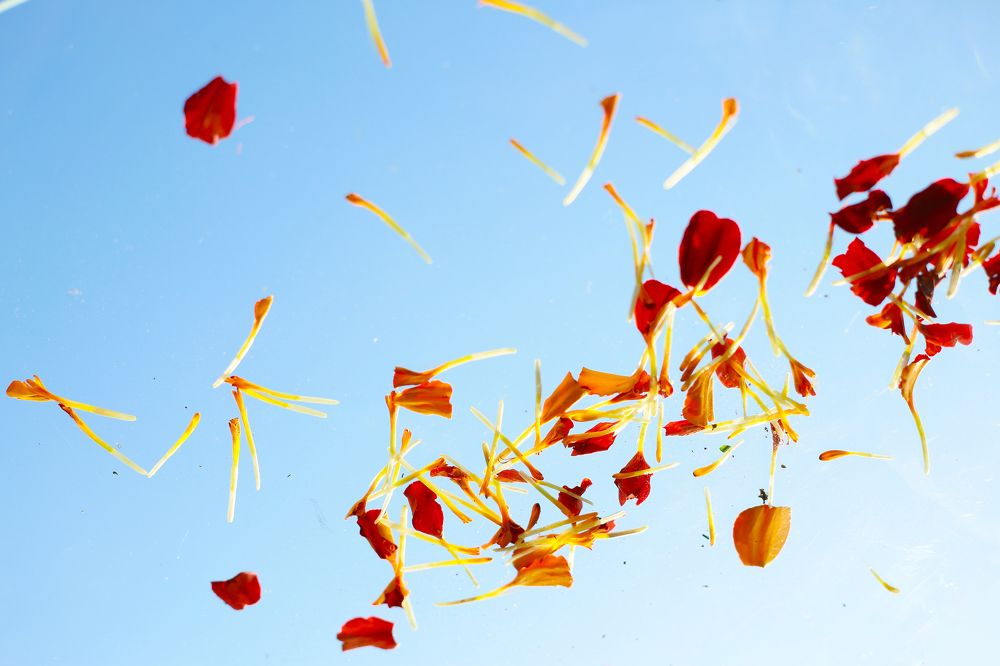 Фотография автора Natalia Bogdanovska