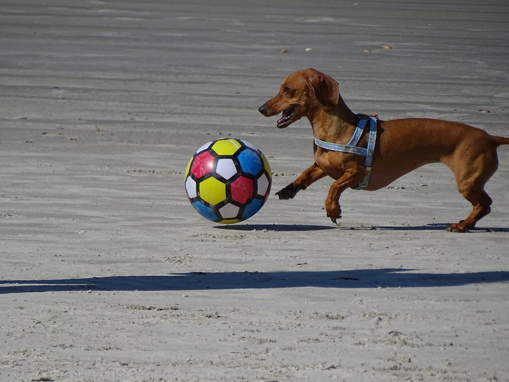 Photograph by Ezequiel Ferreira