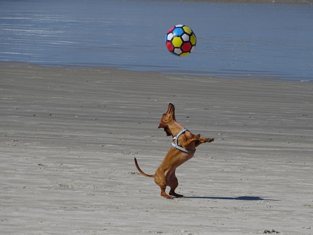 Photograph by Ezequiel Ferreira