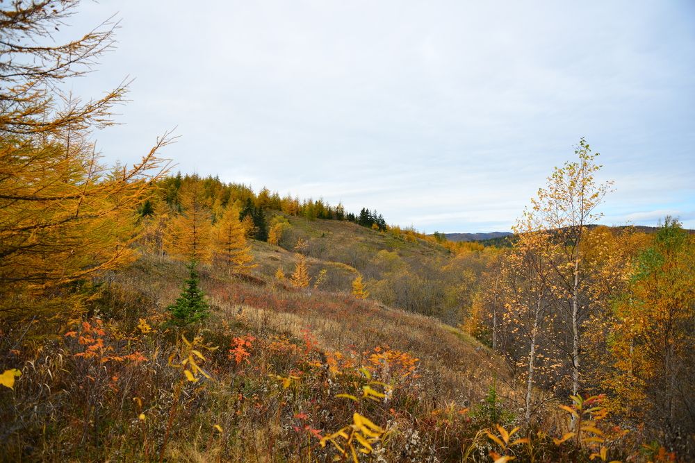 Photograph by Дмитрий Юдин