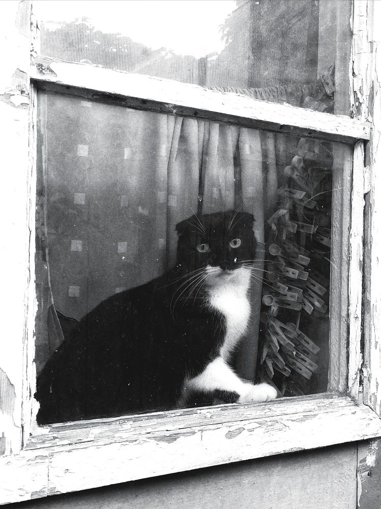 Photograph by Наталия Щербакова