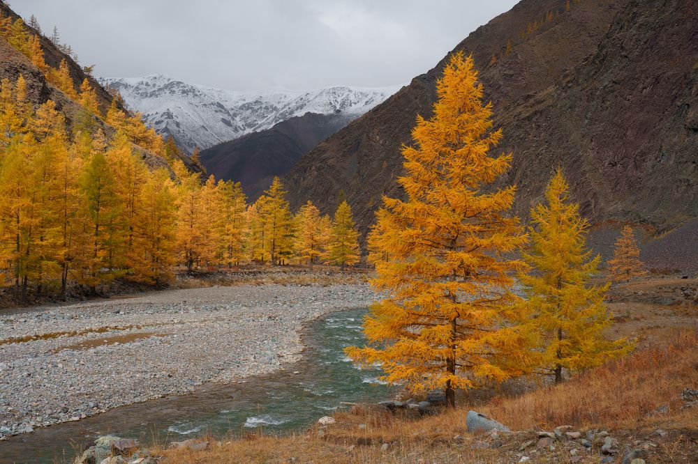 Photograph by Александр Нерозя