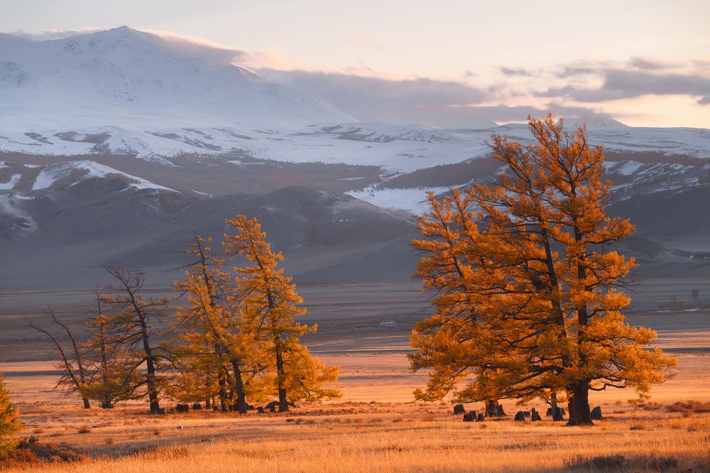 Photograph by Александр Нерозя