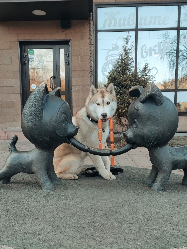 Photograph by Алина Перескокова