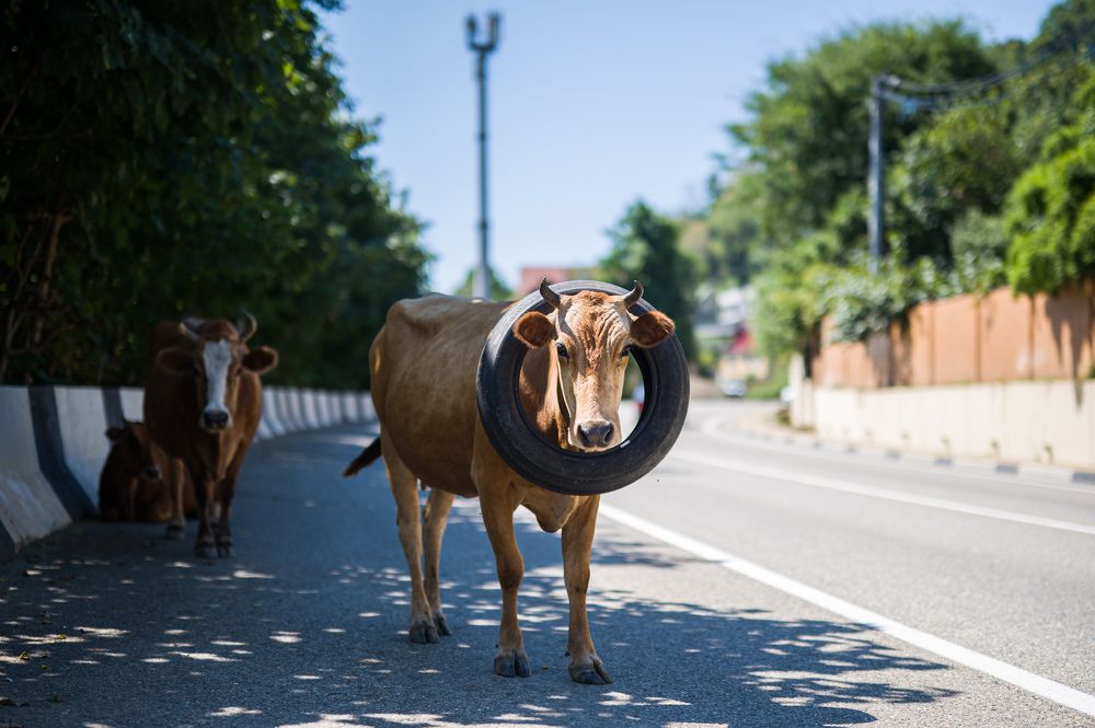 Photograph by Иван Грачев