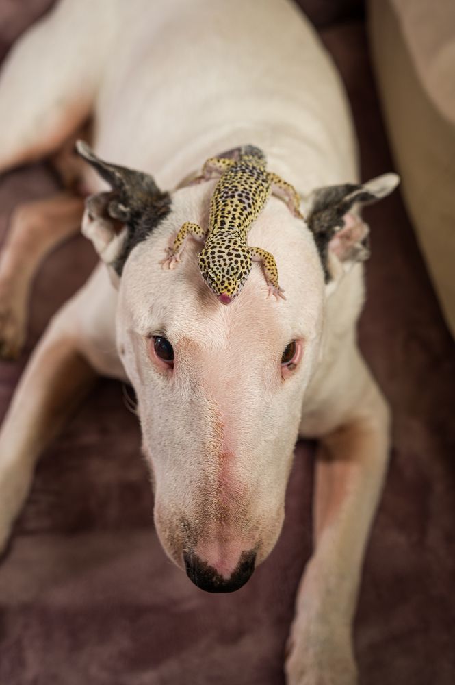 Photograph by Иван Грачев