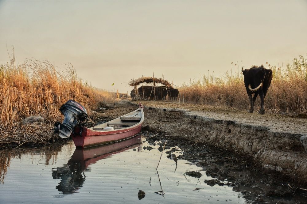 Photograph by Montadher AL-waeil