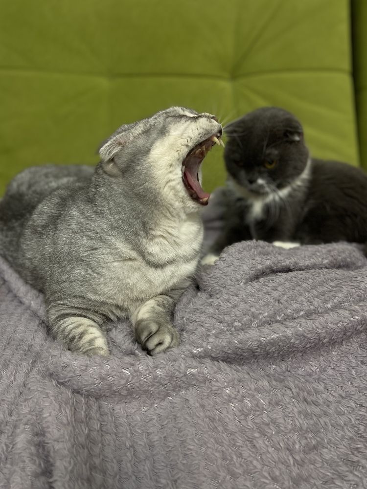 Photograph by Наталья Душакова