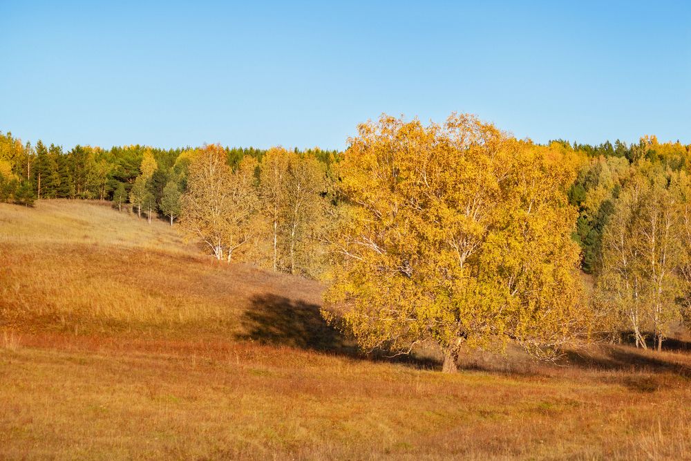 Photograph by Елена Невидимова