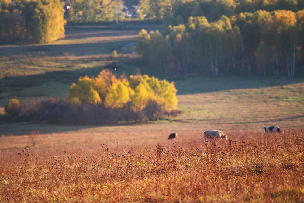 Photograph by Елена Невидимова