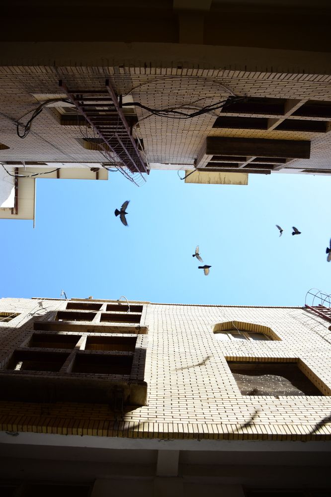 Photograph by Montadher AL-waeil