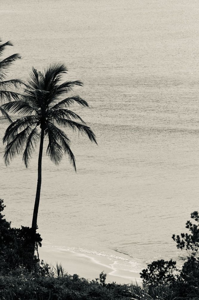 Photograph by Igor Kalassa