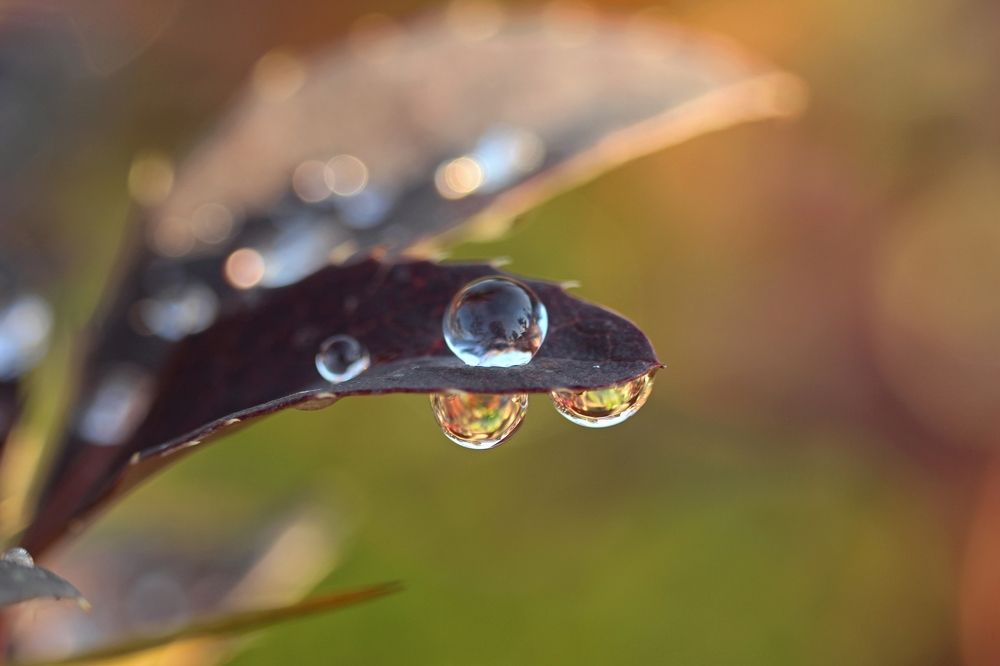 Photograph by Галина Мазур