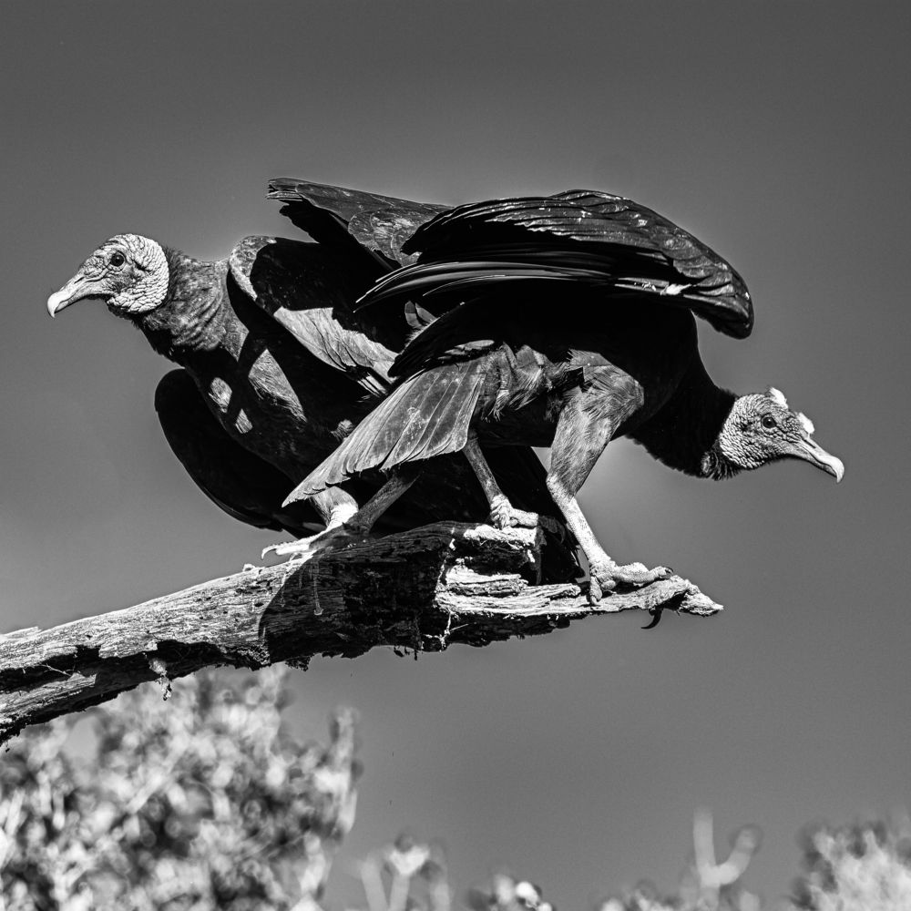 Photograph by Анатолий Костерев