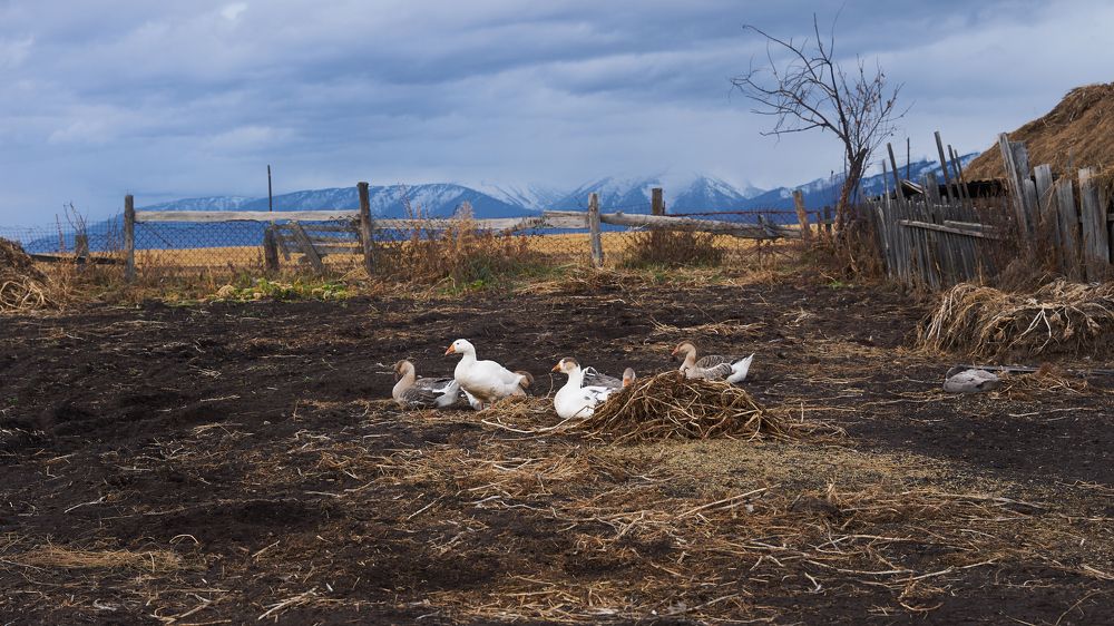 Photograph by Ирина Секачева