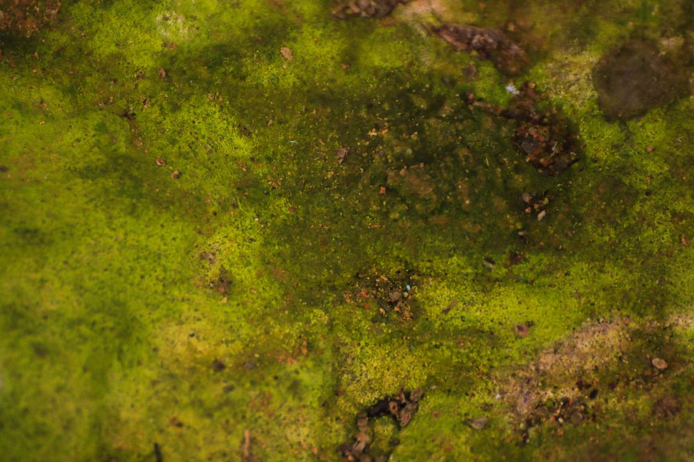 Photograph by Андрей Сафонов