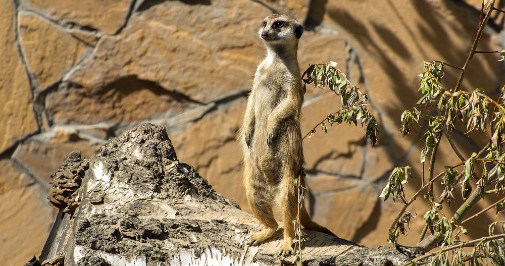 Фотография автора Дмитрий