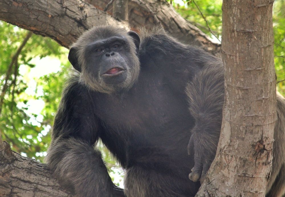 Photograph by Gopinath JM